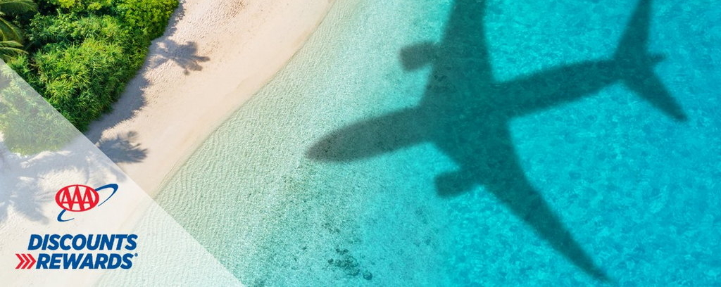 shadow of plane flying over beach.