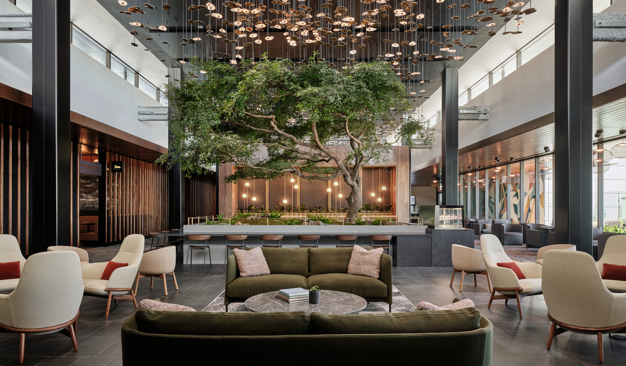 Olive tree and central lounge area for Atlanta Centurion lounge.