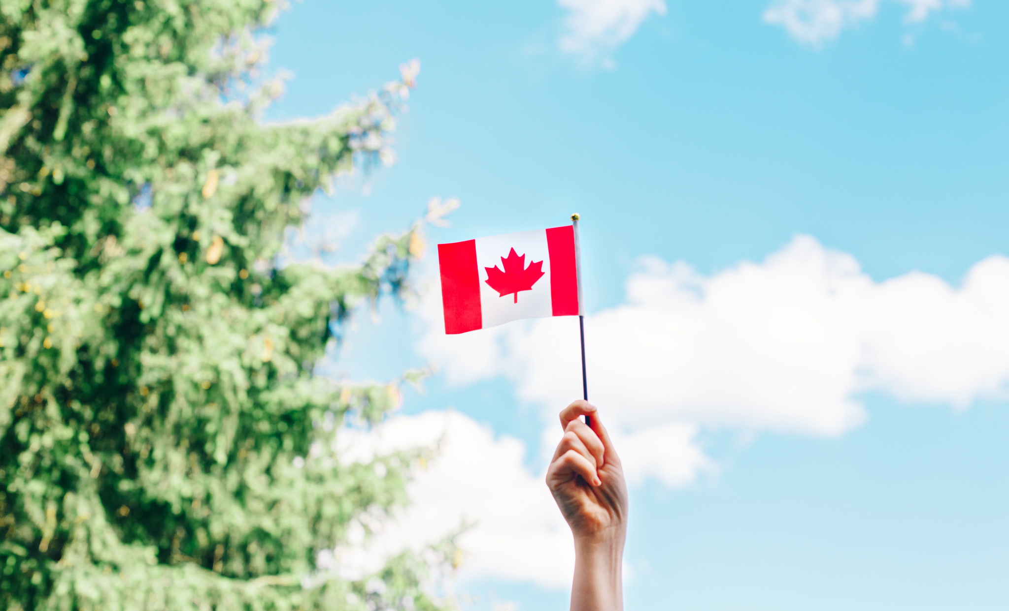 a person holding up a small Canadian Flag