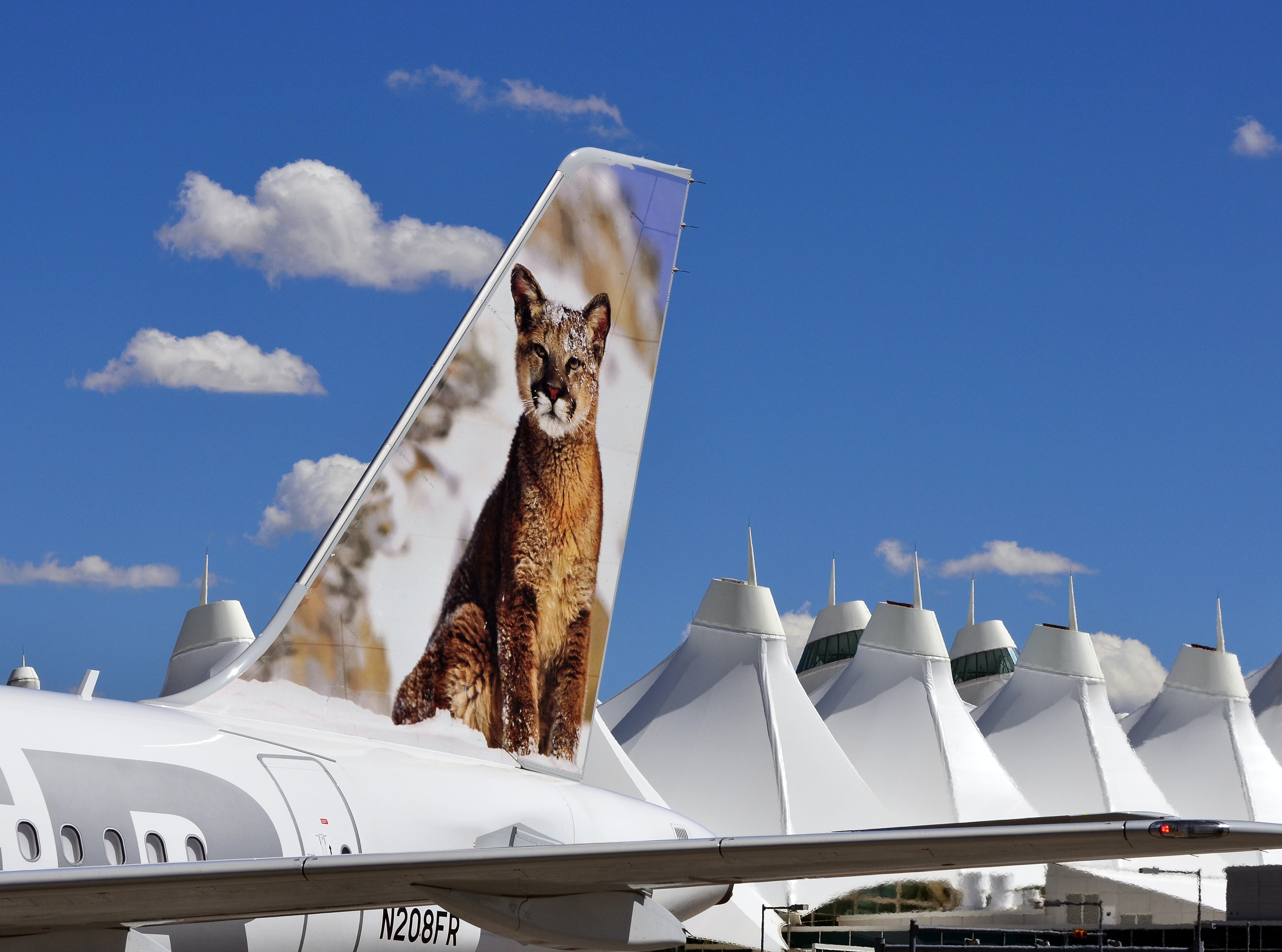 Frontier Airlines airplane tail and Denver airport in background